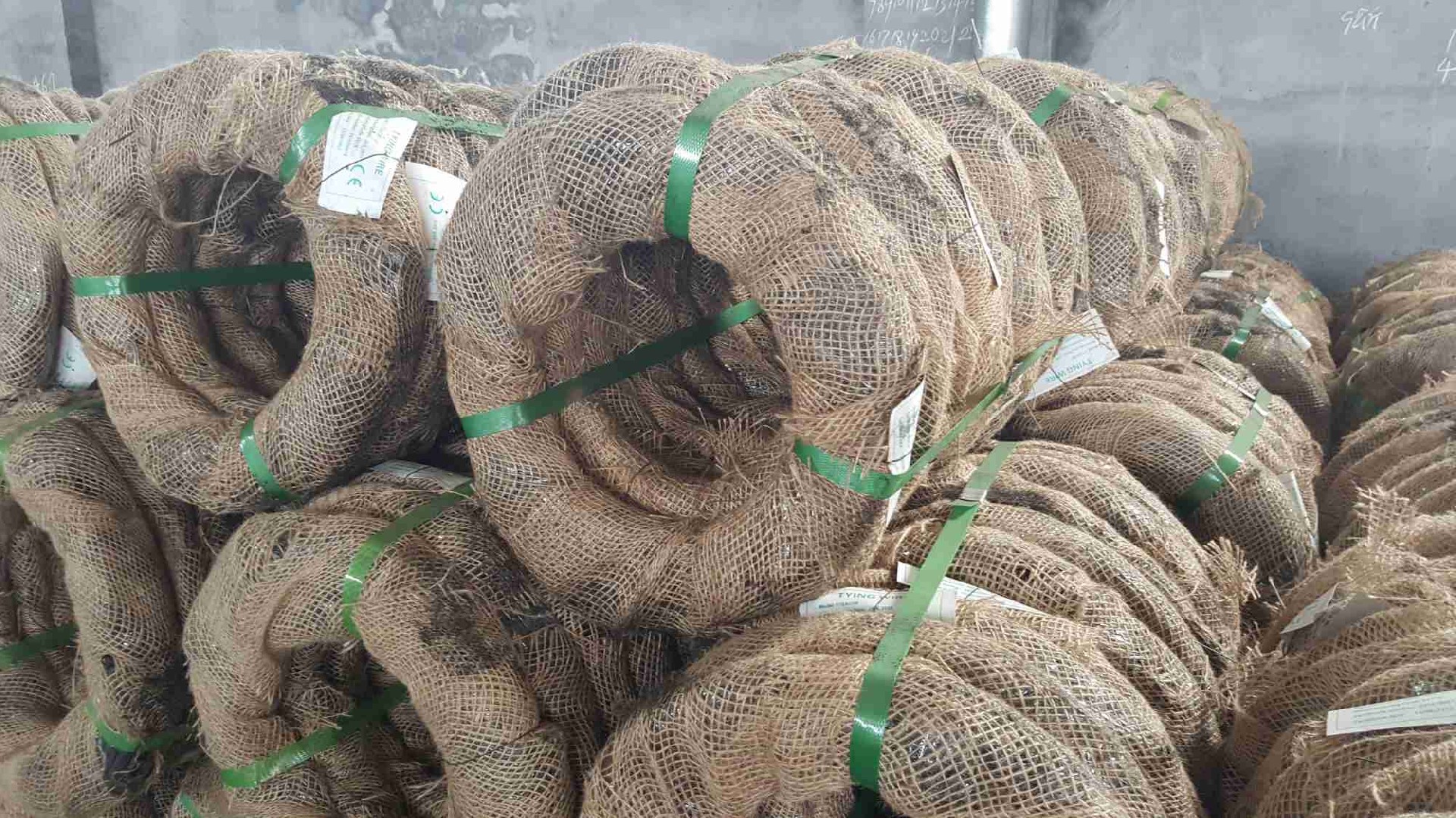 做好红点 (34).jpg